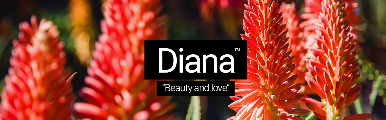 Diana - Beauty and love