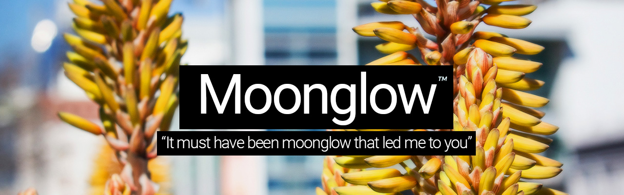 Moonglow - It must of been moonglow that led me to you