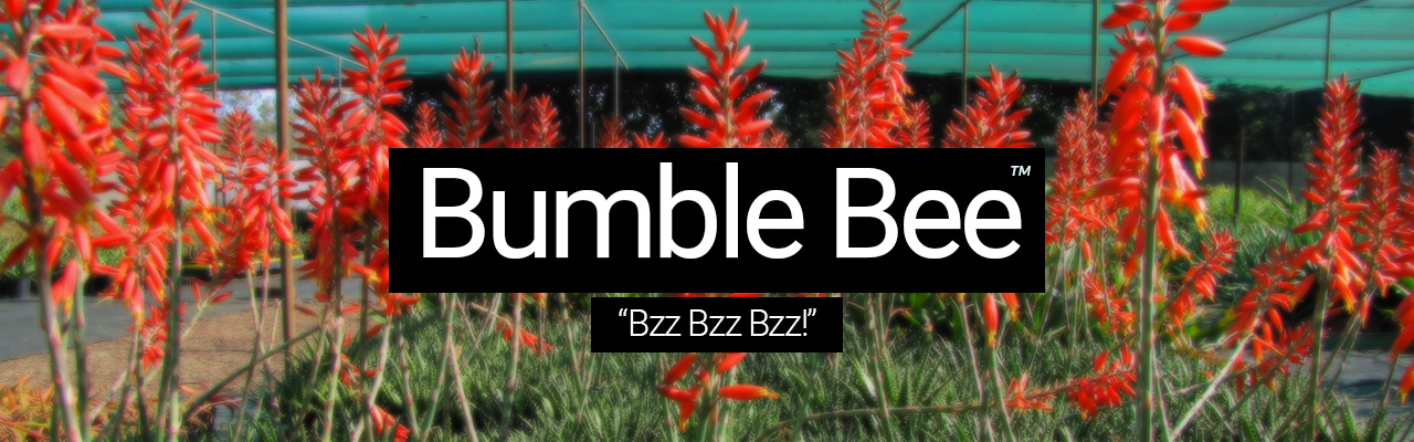 Bumble Bee - Bzz Bzz Bzz